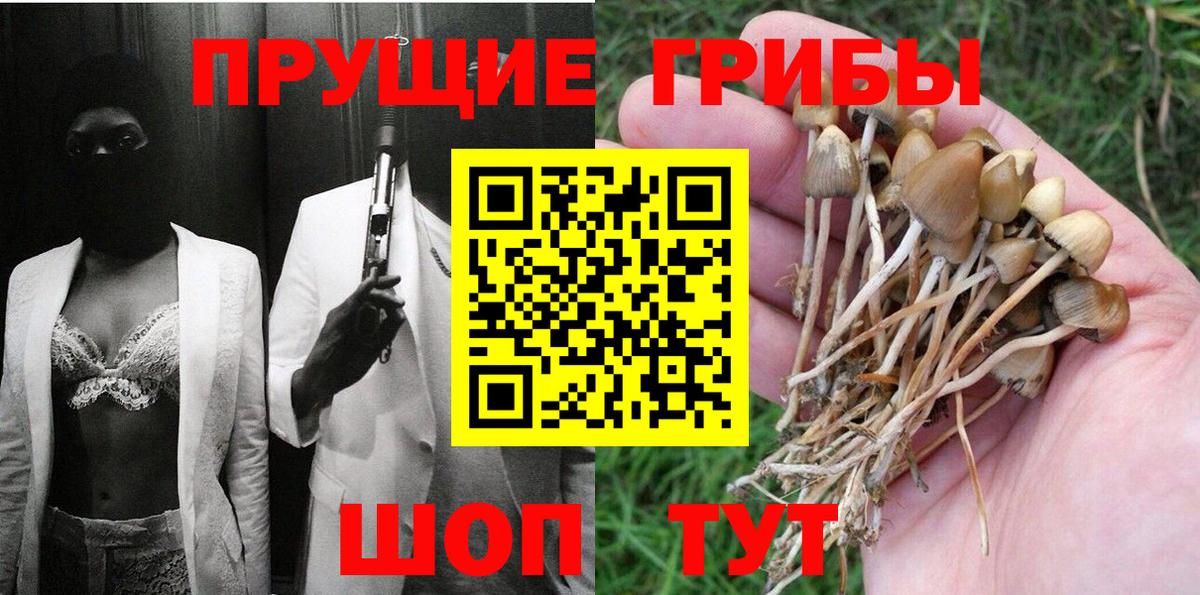 Псилоцибиновые грибы Magic Shrooms Новотроицк