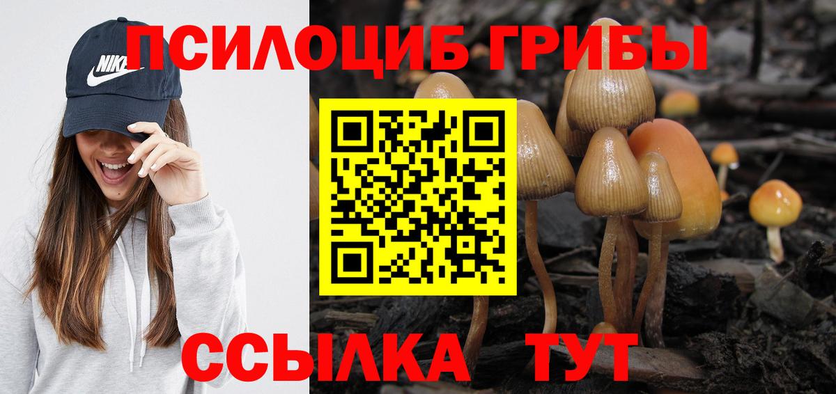 Новотроицк  Псилоцибиновые грибы мицелий  Вход с VPN 